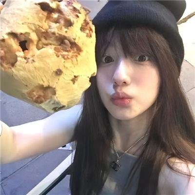 鹈鹕的故事